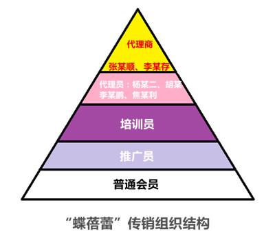 天津“蝶蓓蕾”头目被抓 这究竟是什么组织？